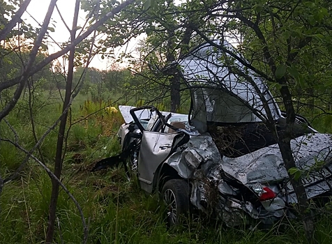 Авто превратилось в груду металла после съезда в кювет в ЕАО