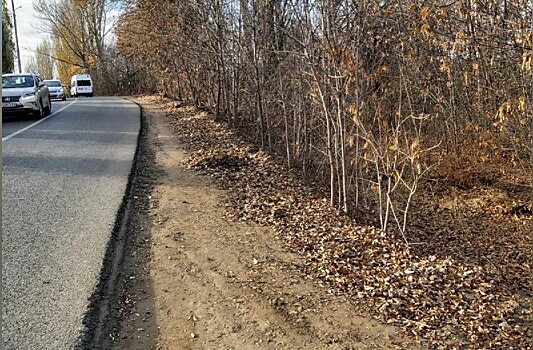 Николай Панков поможет привести в порядок тротуары в Волжском районе Саратова