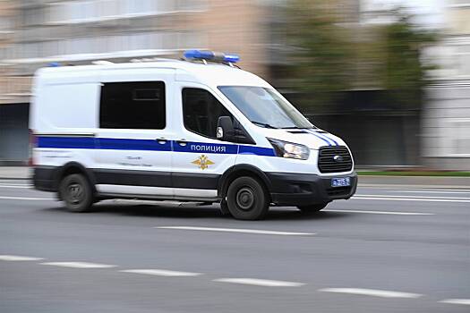 В Подмосковье задержали несколько десятков мигрантов после массовой драки