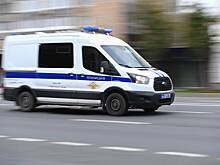 В Подмосковье задержали несколько десятков мигрантов после массовой драки