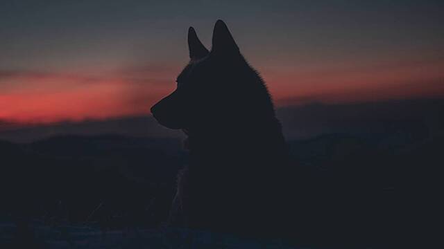 Почему нельзя выходить на улицу 8 декабря