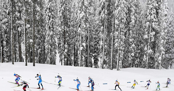  ставки прогнозы на спорт бесплатно онлайн 