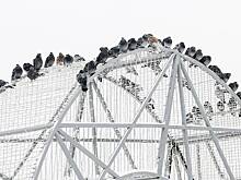 Синоптики сообщили о пасмурной погоде и небольшом снеге в Москве 10 декабря