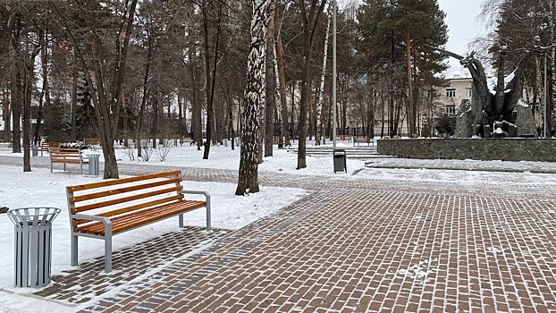 Закаменский сквер в Новосибирске избавят от аварийных деревьев