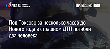 Под Токсово за несколько часов до Нового года в страшном ДТП погибли два человека