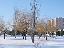 Желтый уровень погодной опасности объявили в Волгоградской области