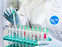 ВОЗ назвала число заражённых коронавирусом в мире