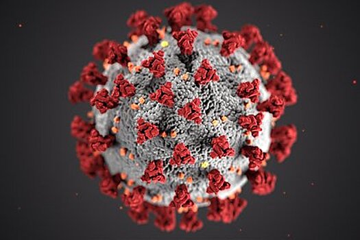 В ВОЗ оценили версию об искусственном происхождении коронавируса
