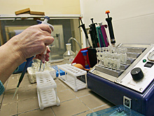 МОК назначил зарплату Степанову