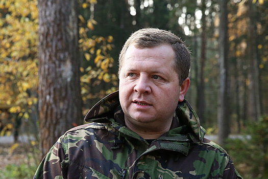 Виталий Дрожжа: Белорусы стали чаще покупать новогодние деревья в кадка