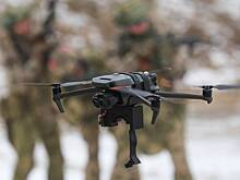 Инновационный «Древоч» поможет российским военным спрятаться от дронов