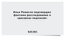 Ремесло подтвердил фактами расследование о «рисовках подписей»