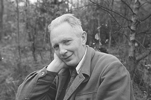 Десять лет истории науки. Академик Михаил Дубинин: цитируемость продолжается