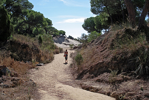 На испанском курорте будут штрафовать за безобидные поступки