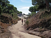 На испанском курорте будут штрафовать за безобидные поступки