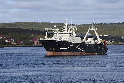 Вывоз рыбы с Дальнего Востока в Китай резко вырос