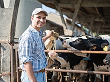 Животноводам компенсируют расходы на исследования КРС