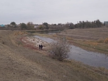 В Волгоградской области обнаружили тело пропавшей четырехлетней девочки