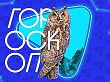 Скорпионов ждёт эмоциональный день, а Козероги переосмыслят свою жизнь