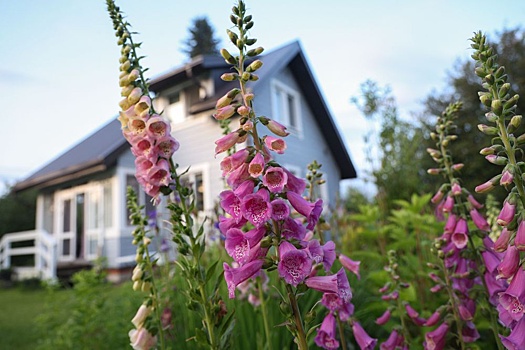 Истекает срок оплаты налогов на недвижимость и вклады