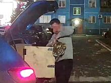 Тайну тигренка с улицы Гоголя раскрыли в Новосибирске