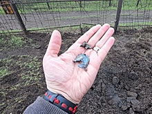 Белгородский поселок Ленинский попал под обстрел со стороны ВСУ