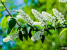 Врач раскрыл два способа защиты от сезонной аллергии