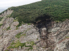 Названа приоритетная версия крушения Ан-26 на Камчатке