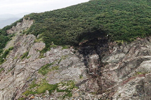 Спасатели добрались до скалы, с которой столкнулся самолет Ан-26 на Камчатке