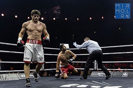 Боксер-профессионал Шигабудин Алиев нацелен на девятую победу