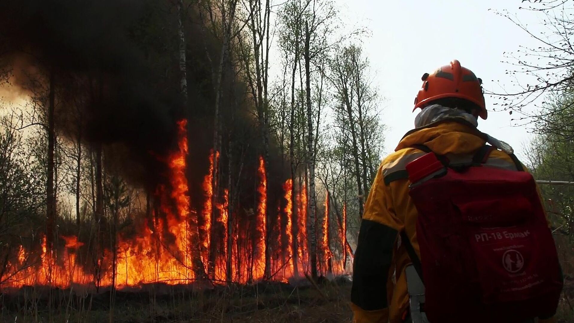 Площадь лесных пожаров в Коми снизилась до 38 га