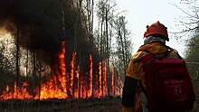 Региональный режим ЧС из-за лесных пожаров снят в Якутии