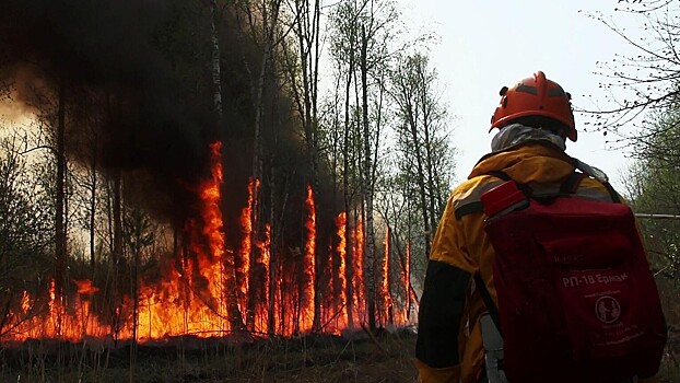 Региональный режим ЧС из-за лесных пожаров снят в Якутии