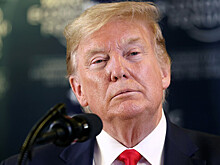 Американцы оценили шансы Трампа на предстоящих выборах