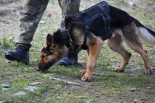 В Сибири ищут потерявшегося во время спуска по реке охотника