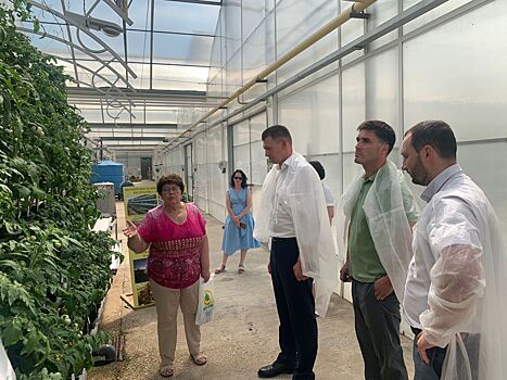 Сенатор Александр Двойных и депутат Мособлдумы Сергей Маликов посетили центр овощеводства