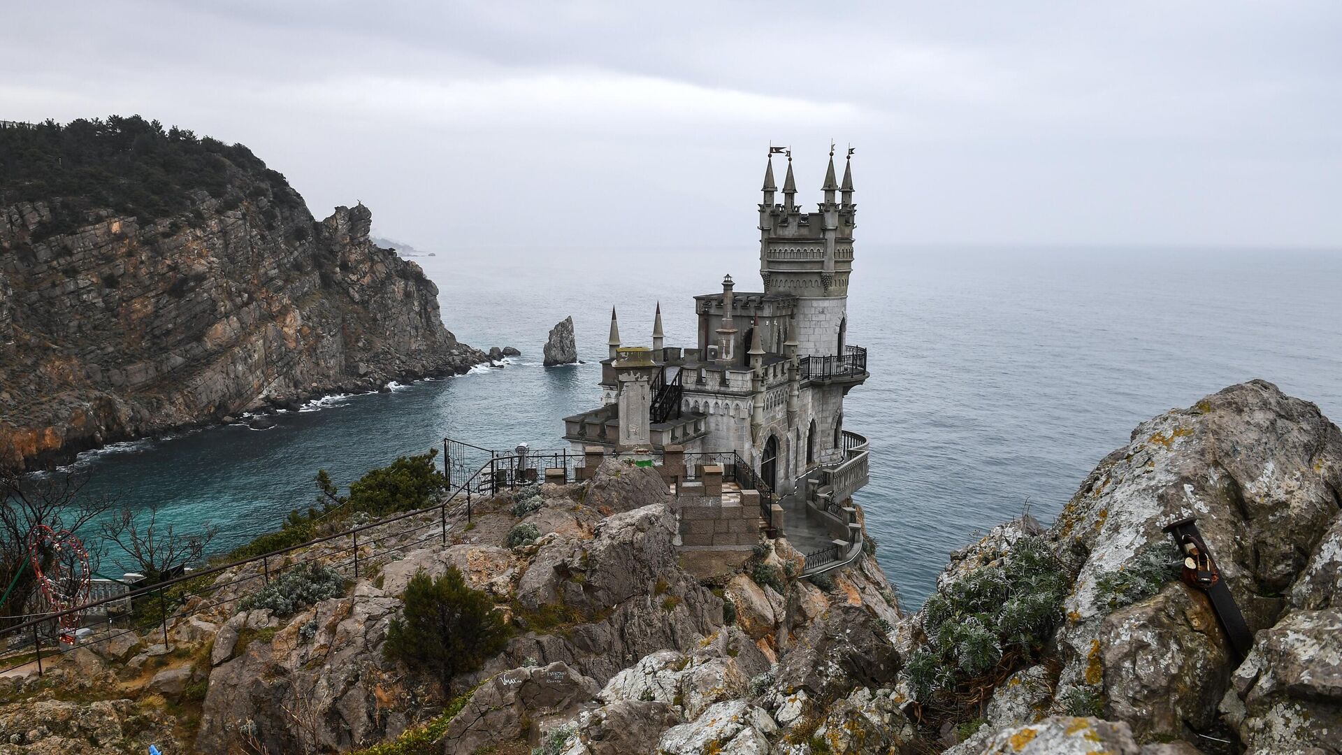 В Ласточкином гнезде рассказали о судьбе сброшенной с балкона кошки