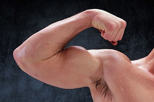 В Тракторозаводском районе Челябинска может появиться целая сеть спортзалов