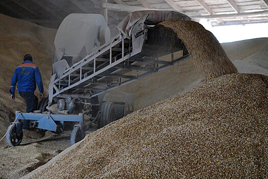 На Украине заявили о поиске альтернатив зерновой сделке без участия России
