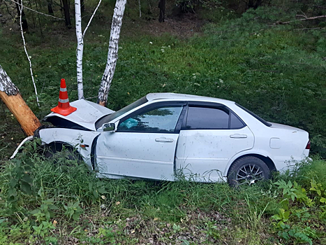 Под Новосибирском иномарка влетела в дерево: водитель погиб