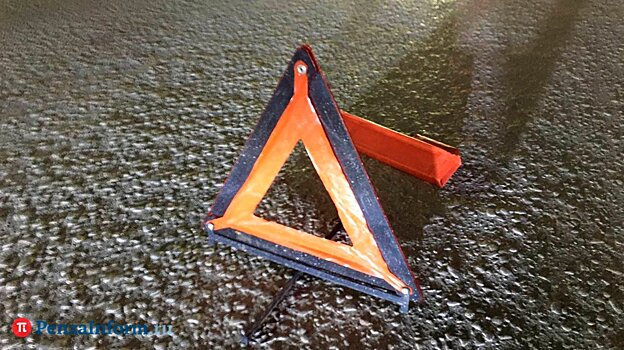 В Белинском районе насмерть сбили лося