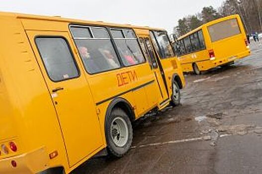 На занятия — пешком. Почему в Курской области не хватает школьных автобусов