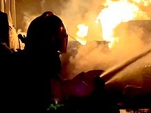 В Подмосковье кот зажег плиту и устроил пожар в квартире