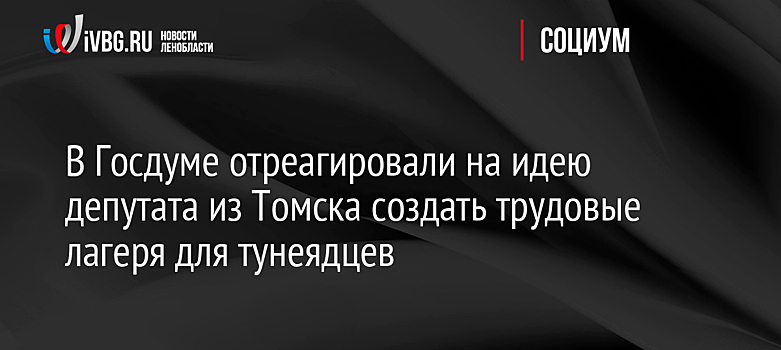 В Госдуме отреагировали на идею депутата из Томска создать трудовые лагеря для тунеядцев