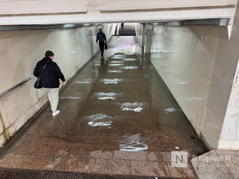 Нижегородцы жалуются на потоп в подземном переходе на площади Лядова