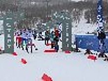 Сборная ФСИН России завоевала первые медали на Всероссийских соревнованиях общества «Динамо» по лыжным гонкам и служебному двоеборью