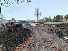 В мэрии Курска прокомментировали жалобы на едкий запах в посёлке «Аккумулятор»