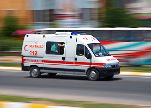 В Турции заявили о случае заболевания ящуром