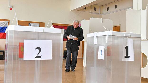 Политолог Ярошенко: Процесс онлайн-голосования защищен в технологическом плане