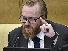 Депутат Милонов заступился за «Сектор Газа»